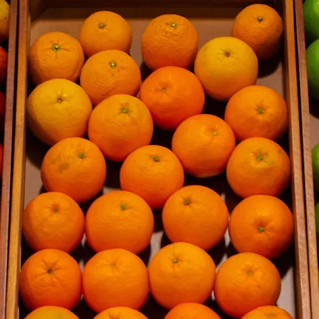 Готель Vip Executive Saldanha Лісабон